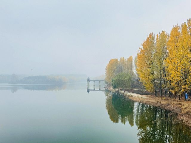 西安東溝水庫|一幅秋冬的水墨畫。 西安東溝水庫|一幅秋冬的水墨畫。