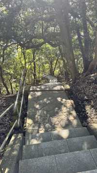 日本三大名山之一千葉鋸山日本寺。