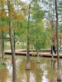 在廣州，離地鐵200米的大草坪沿湖碧道！