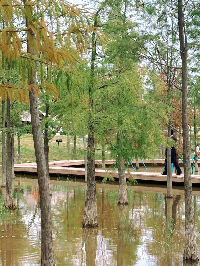 在廣州，離地鐵200米的大草坪沿湖碧道！