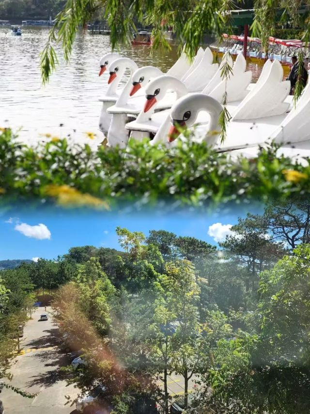 【隱秘桃源，約翰海老軍營森林小屋：一場說走就走的林間奇遇】