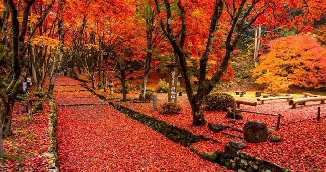 飛驒市：古韻和風，山間的詩意棲居