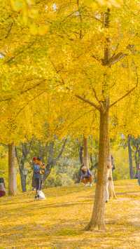 武漢解放公園賞秋攻略！來這裡感受金秋的浪漫
