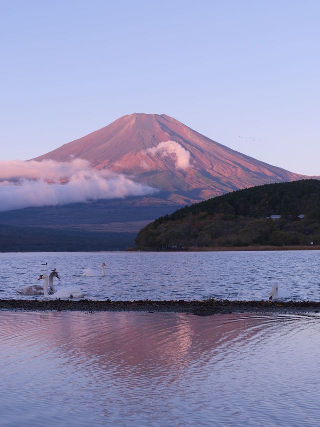 日本6日遊｜冬日限定美景 錯過等一年