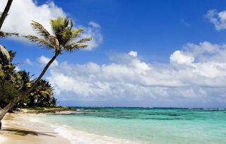 Diani Beach: A Dreamy Painting by the Indian Ocean