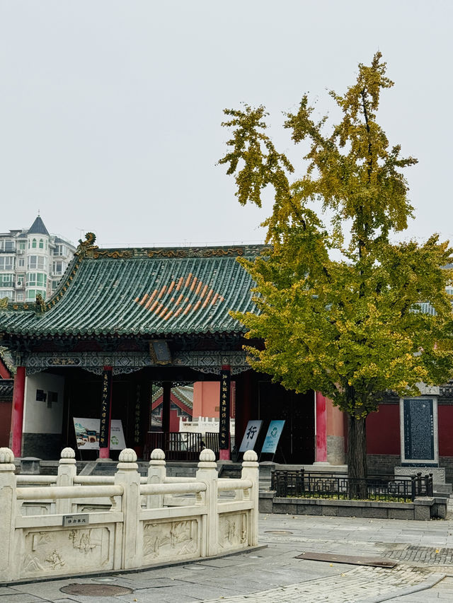 紅牆綠瓦故宮風—鄭州文廟