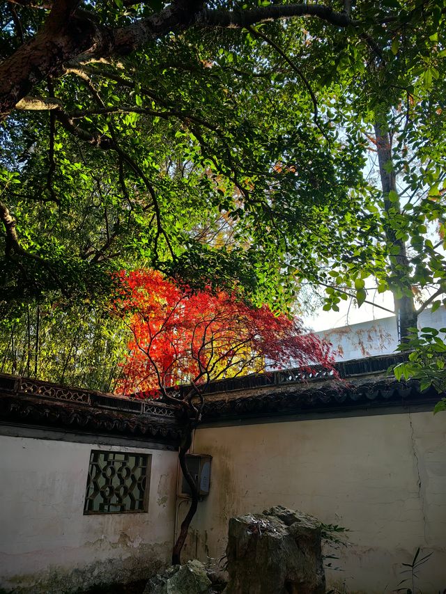 飽和度已拉滿的小園子——秋霞圃