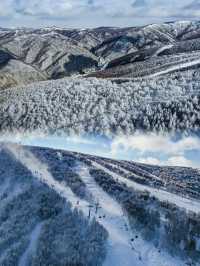 崇禮五大雪場該怎麼選看這一篇就夠了