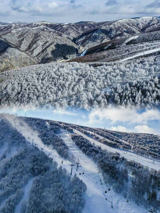 崇禮五大雪場該怎麼選看這一篇就夠了