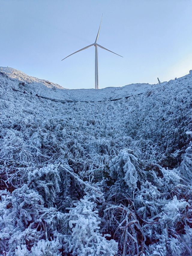 湖南永州市雲冰山｜不用出省也能欣賞霧凇仙境