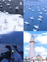 雪的浪漫，威海獨領風騷