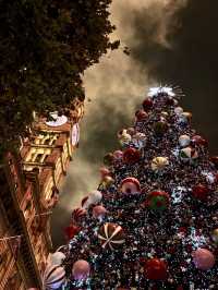 a Unique Christmas at  Sydney's Martin Place