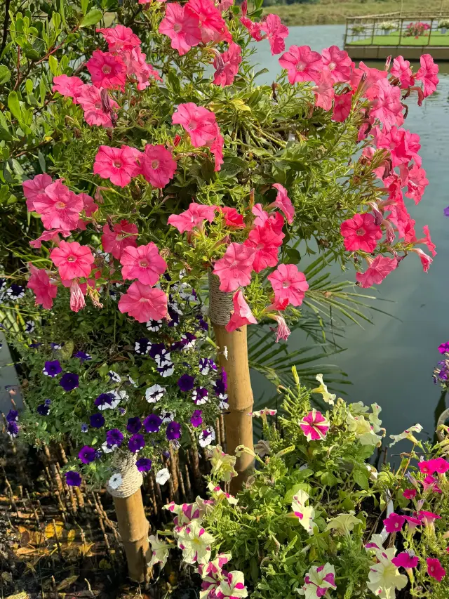 태국 무비자 여행 공략으로 인기 명소 즐기기