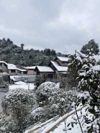不用去東北 貴州人也有自己的「長白山」了！