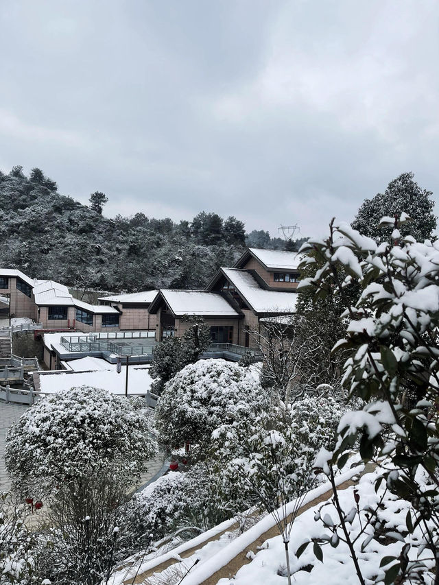 不用去東北 貴州人也有自己的「長白山」了！