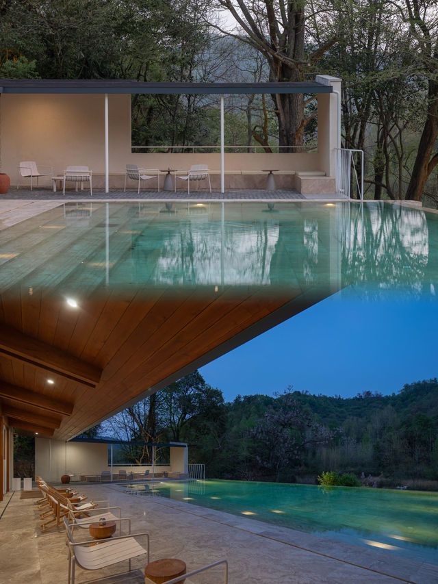 到隨州，探索銀杏秘境！