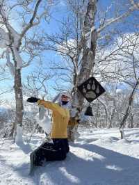 Comprehensive Review of European Ski Resorts: Part Two