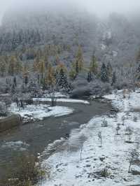 四姑娘山-魚子西老年人遊玩攻略 悠閒不虛行