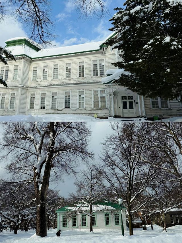 探秘日本北海道札幌，冬日雪景美如畫！