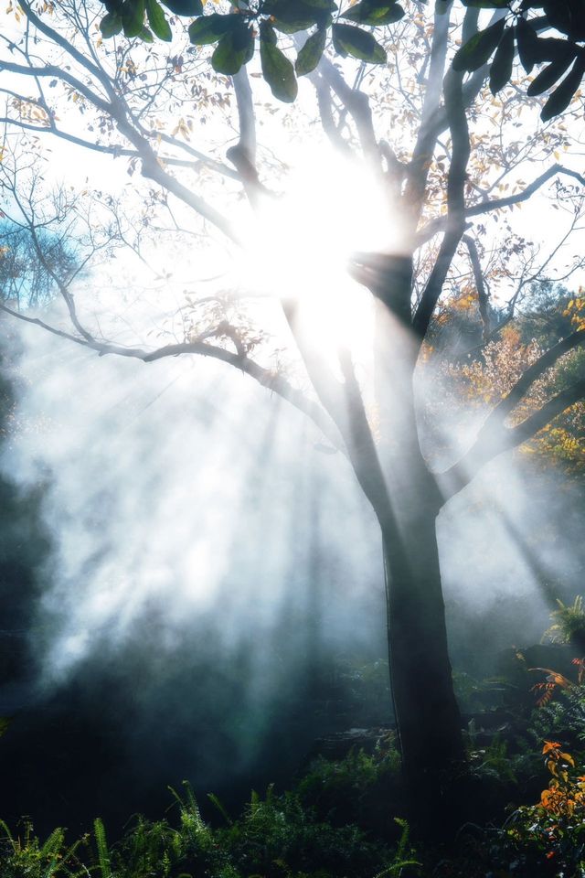 騰沖瑪御谷悅椿 | 山水間·邂逅寧靜與美好