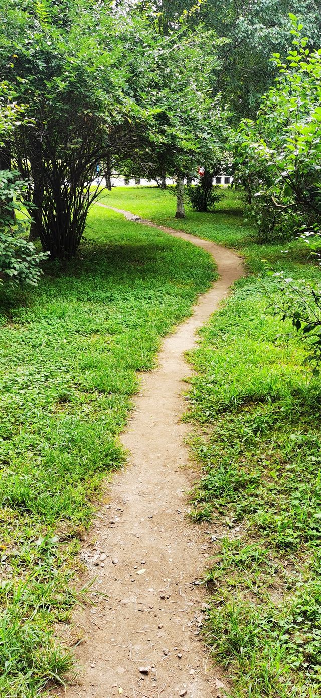 集安•高句麗遺址公園