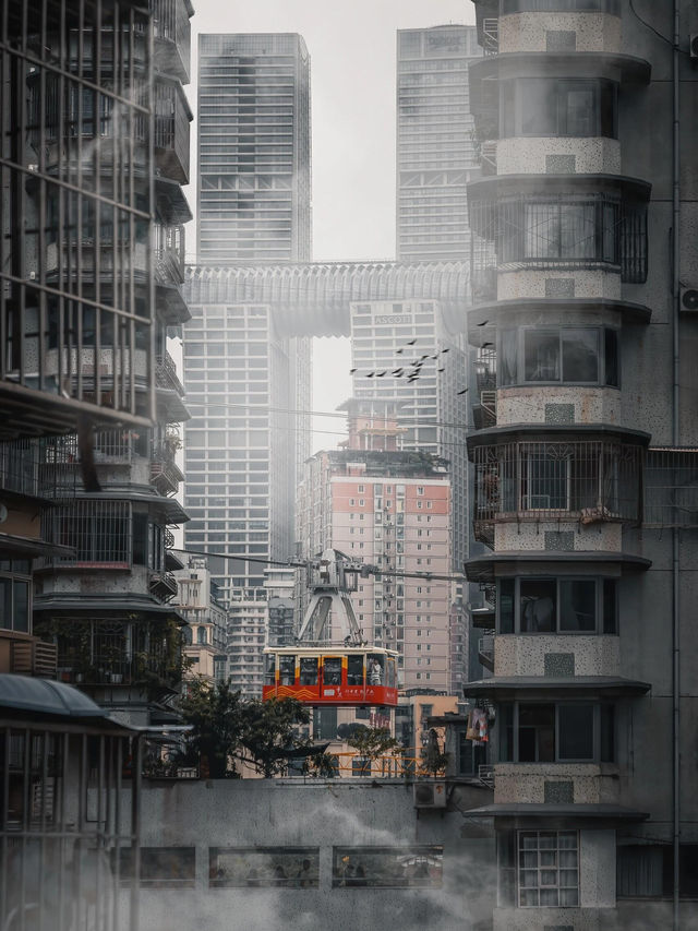 I Traveled to Chongqing for These 18 Photos✈️ Was It Worth It?