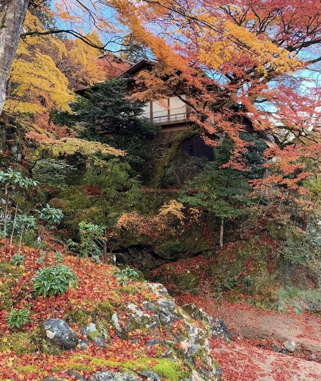 12月 京都 巔峰體驗