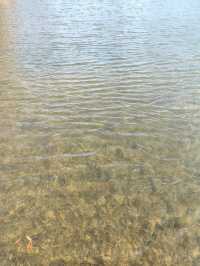 四海公園