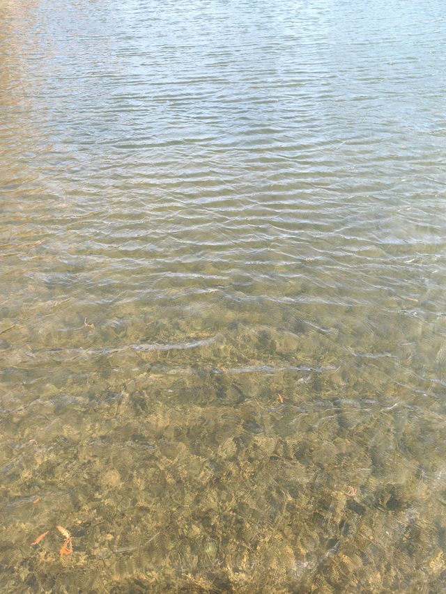 四海公園