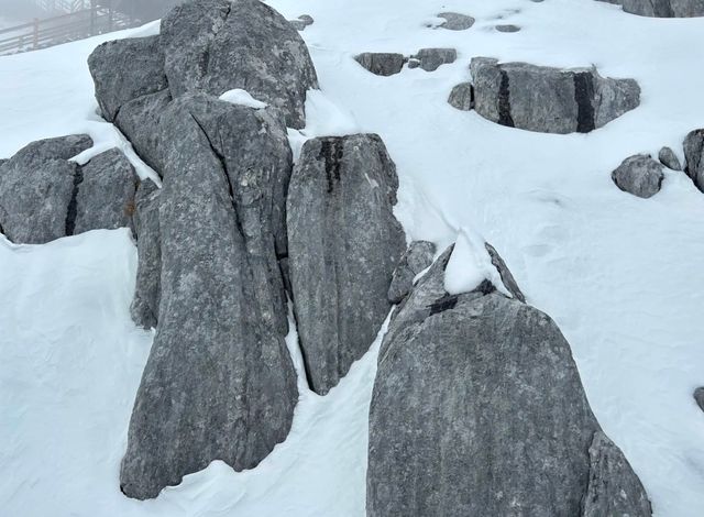 【麗江超級攻略】一次旅行，兩種風情，雪山與古城的浪漫