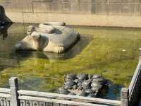 佛山 | 祖廟-嶺南天地輕鬆半日遊