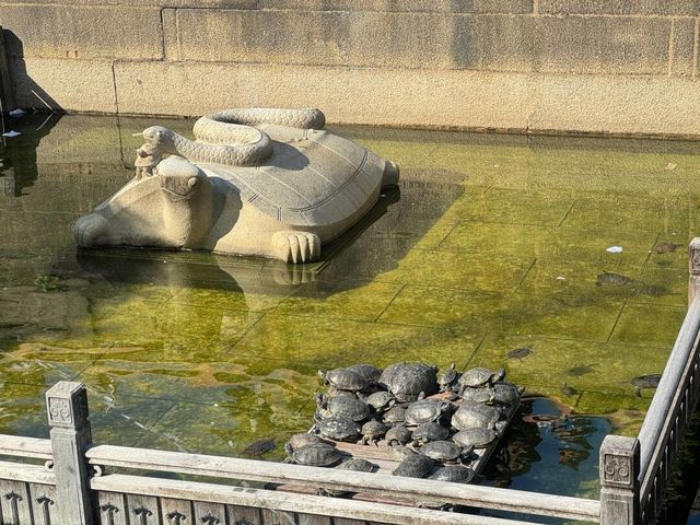 佛山 | 祖廟-嶺南天地輕鬆半日遊 佛山 | 祖廟-嶺南天地輕鬆半日遊