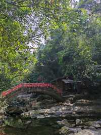 廣西欽州八寨溝重遊美景