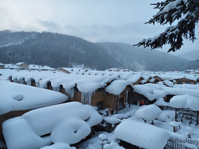 中國雪鄉的魔幻狗熊嶺