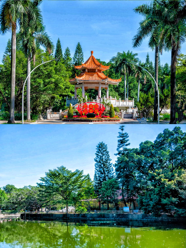 台北天空的脈搏🫀獅頭山景色真的很美