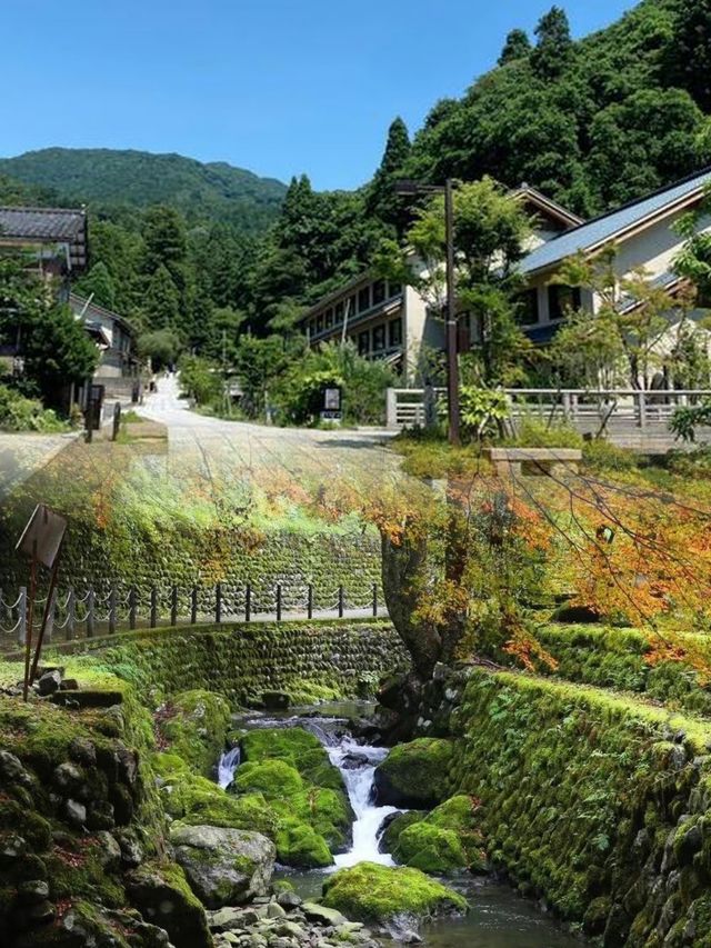來日本福井感受唯美意境