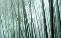 高州仙人洞