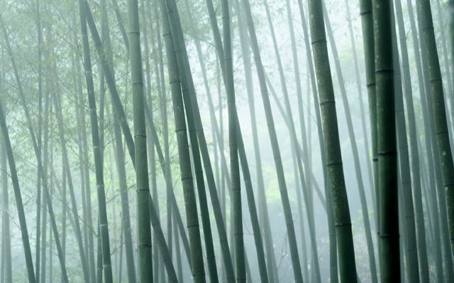 高州仙人洞