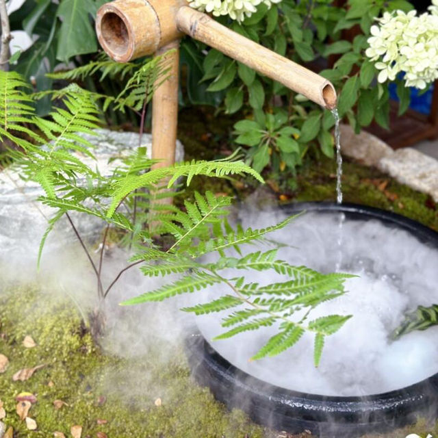 偽出國必去！荷蘭花海浪漫打卡聖地🌷