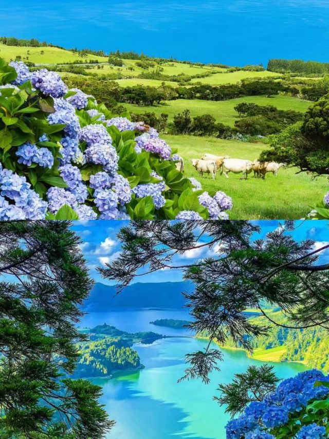 大西洋上的遺世奇島：聖米格爾