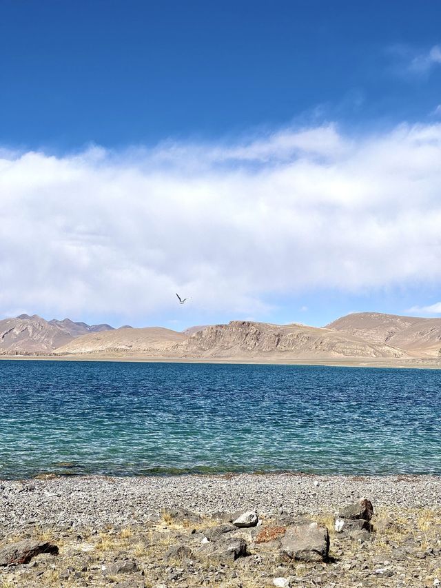 成都-色達-巴青11日暢遊，揭秘理想行程，不走彎路