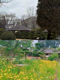 益山市｜韓國小眾寶藏旅行地