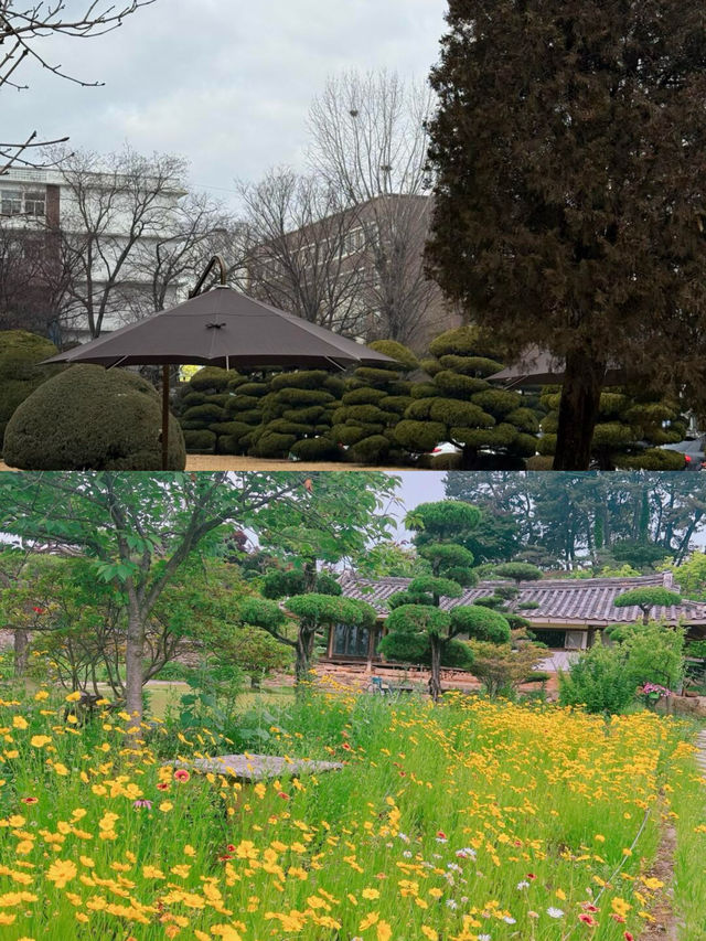 益山市｜韓國小眾寶藏旅行地