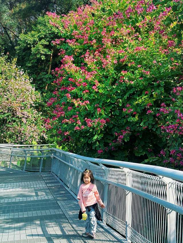 廣州春天｜雲道遠足吸氧｜越秀公園雕塑公園