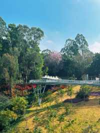 廣州春天｜雲道遠足吸氧｜越秀公園雕塑公園