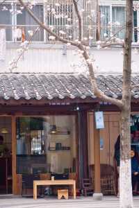 杭州寧波路賞玉蘭美食攻略