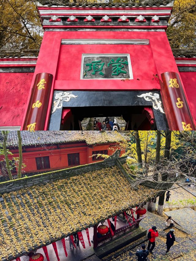 雅安兩日遊超全攻略：一個人也能嗨翻天！