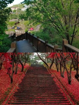Yangpyeong, Korea: A Two-Day Dreamy Getaway