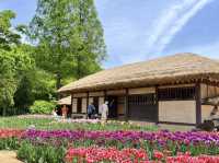 韓國富川自然生態公園：探秘自然之美，盡享親子樂趣！