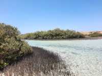 「拉斯穆罕默德國家公園（Ras Mohammed National Park）——紅海潛水天堂」